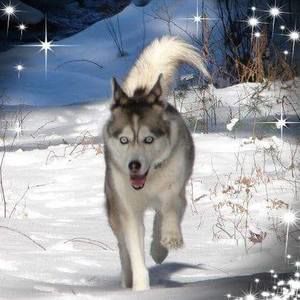 Meet your Posher, Bonnie